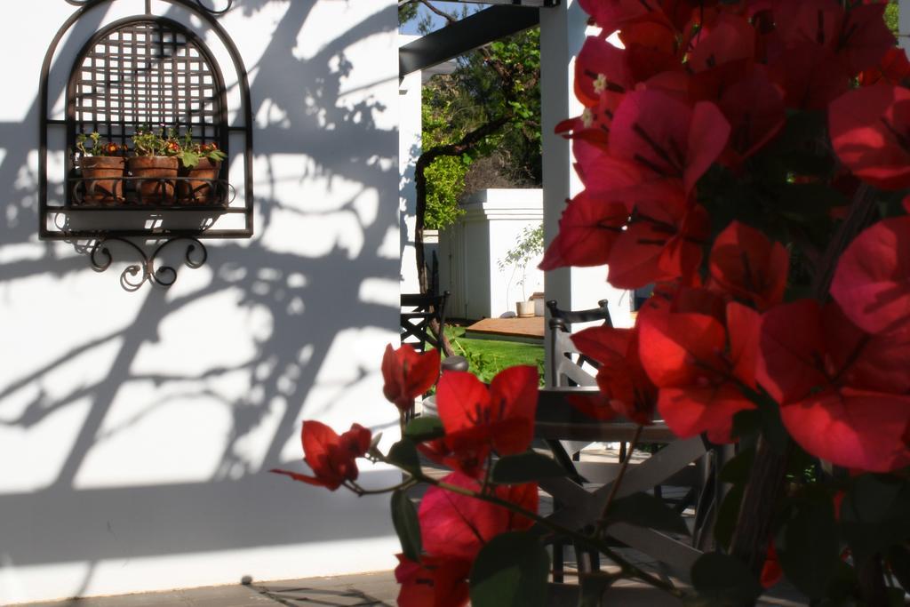 Lemon & Lime Guesthouse Bloemfontein Luaran gambar
