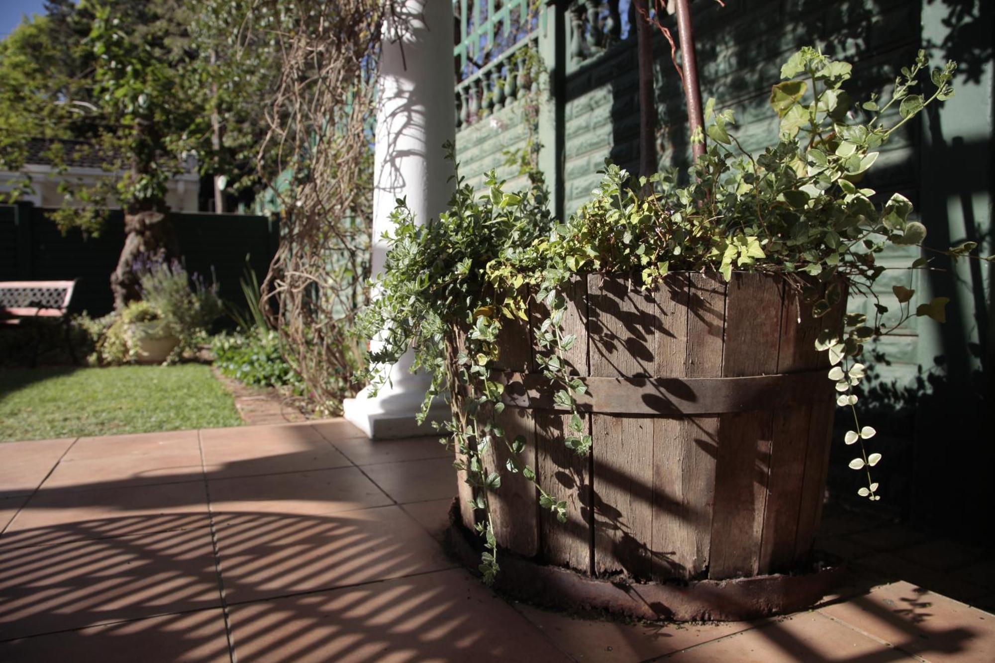 Lemon & Lime Guesthouse Bloemfontein Bilik gambar